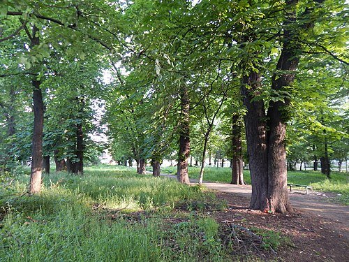 Парк Нижанківського (м. Стрий)