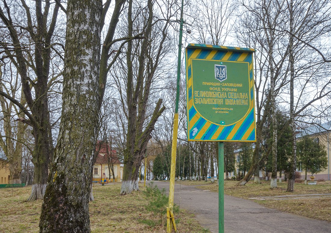 Парк XIX ст. (Парк Великолюбінської спеціалізованої загальноосвітньої школи-інтернату)