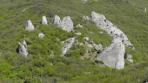Ялтинський гірсько-лісовий природний заповідник — фото