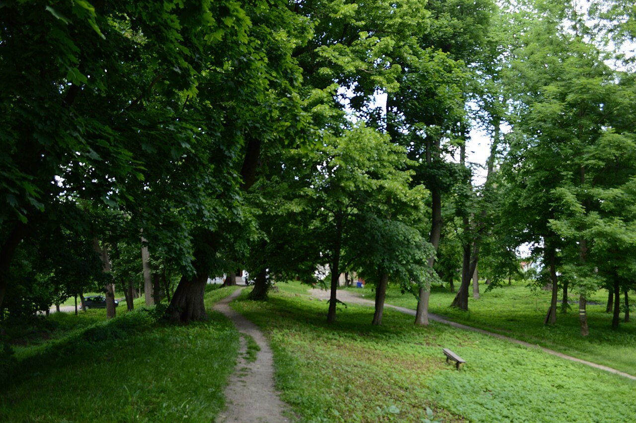 Парк XIX ст. (Нагачів)