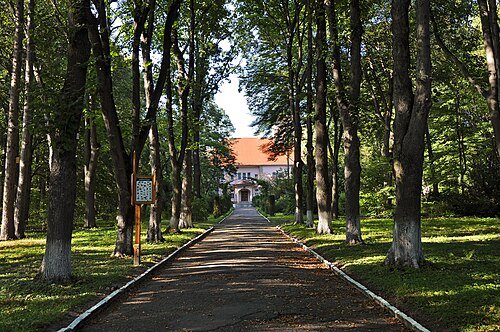 Сторожинецький дендропарк — фото