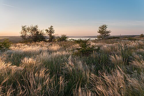 Національний природний парк «Куяльницький» — фото