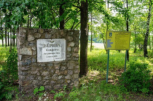 Дендропарк Маяцького лісництва