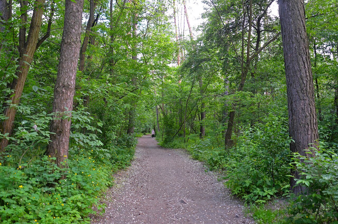 Зелена Брама (парк-пам'ятка садово-паркового мистецтва)