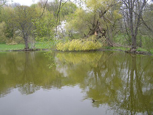 Михайловецький парк — фото