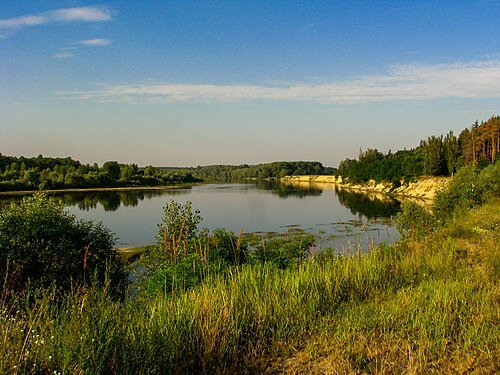 Регіональний ландшафтний парк «Міжрічинський»