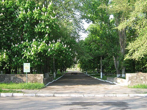 Міський парк культури і відпочинку «Молодіжний» — фото