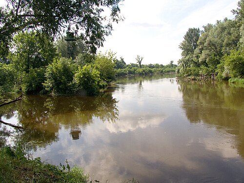 Західне Полісся (біосферний заповідник)