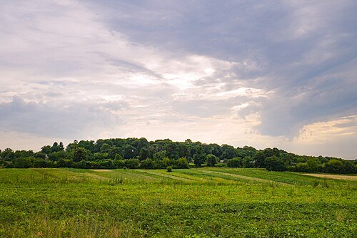 Северинівський парк