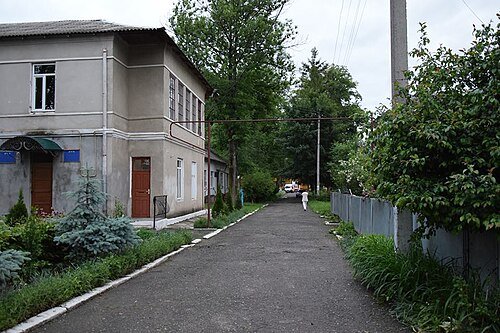 Вижницький парк