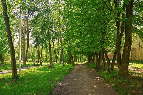 Замковий парк (парк XVII ст. у місті Жовква) — фото