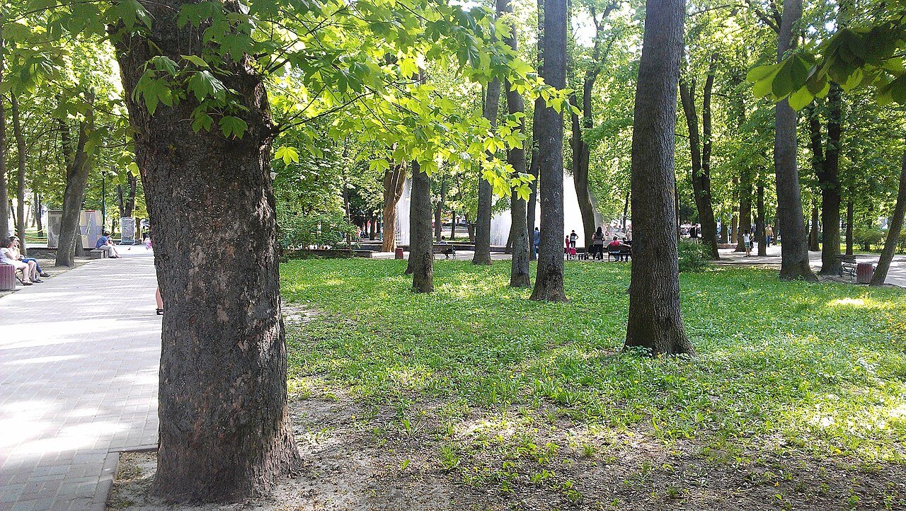Сквер імені Тараса Шевченка