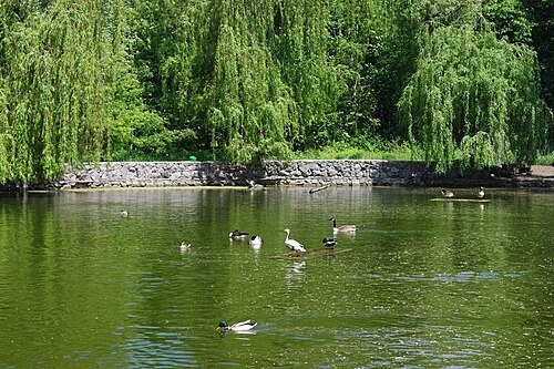 Черкаський міський зоологічний парк «Roshen» — фото