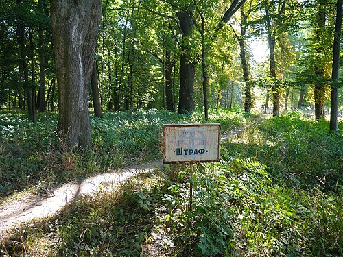 Рахнянський парк — фото