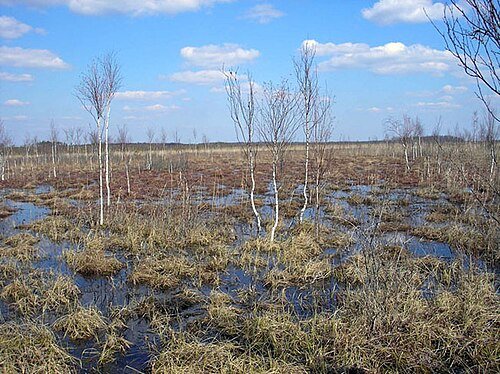 Черемський природний заповідник