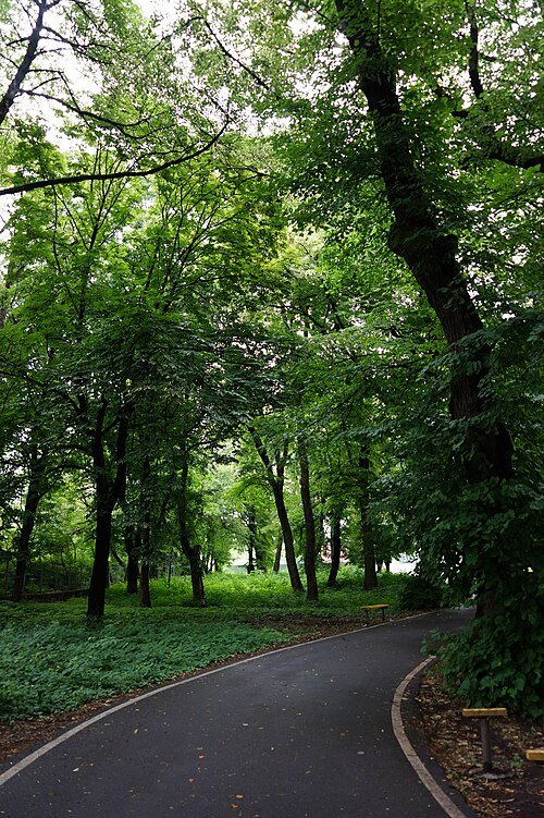 Підзамковий парк — фото