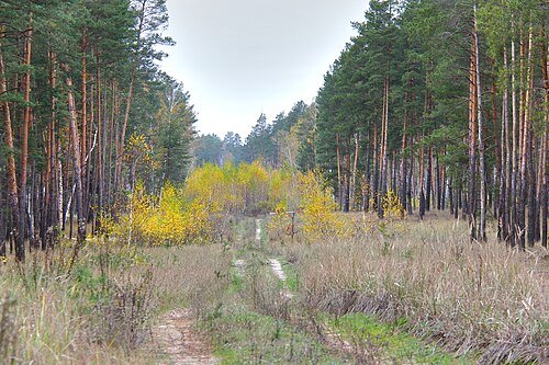 Національний природний парк «Кремінські ліси»