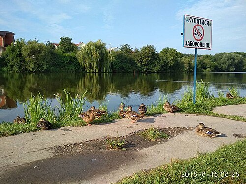 Ботанічний сад «Поділля» — фото