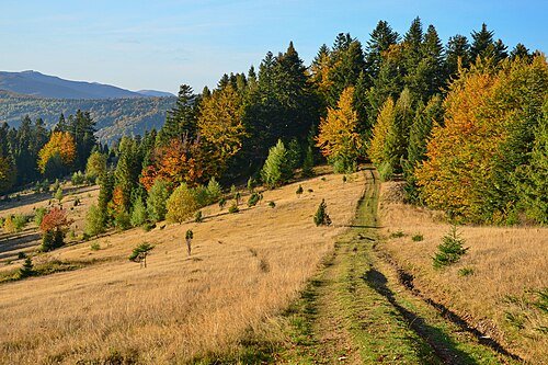 Ужанський національний природний парк — фото