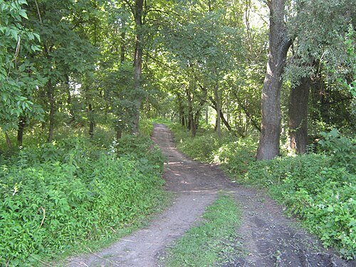 Камінський парк