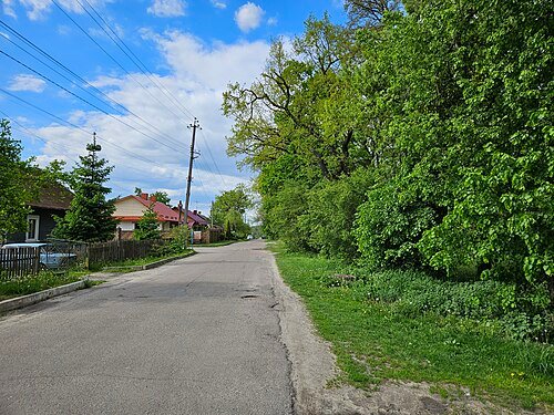 Клеванський парк — фото