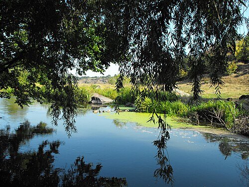 Сокілецький парк — фото