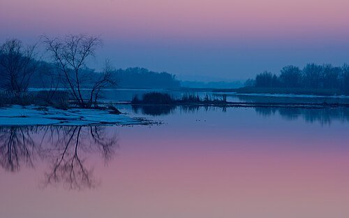 Кременчуцькі Плавні (регіональний ландшафтний парк) — фото
