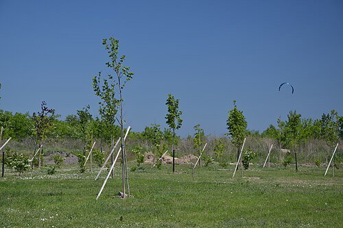 Парк Європейський