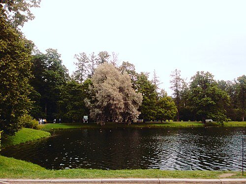 Регіональний ландшафтний парк «Слов'янський курорт» — фото