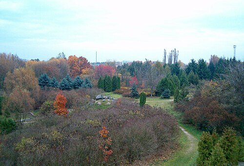 Березнівський державний дендрологічний парк — фото