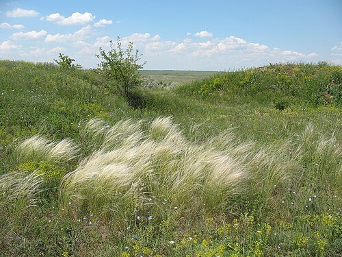 Регіональний ландшафтний парк «Тилігульський»