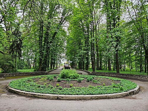 Гощанський парк — фото