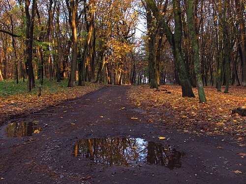 Хомутецький парк — фото