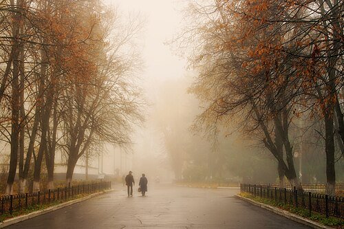 Графський парк — фото