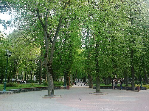 Сквер імені Тараса Шевченка — фото