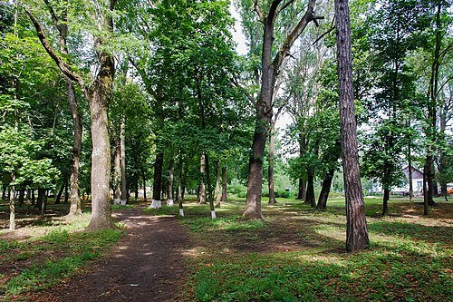 Комаргородський