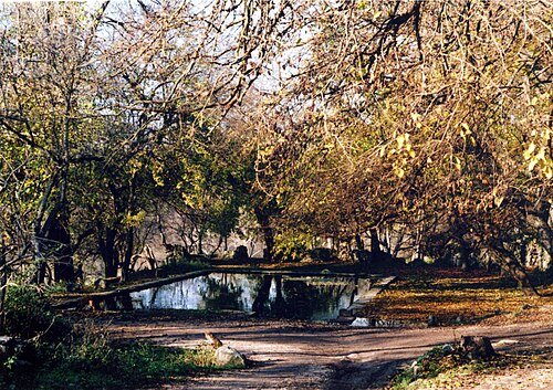 Регіональний ландшафтний парк «Максимова дача»