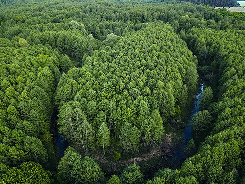 Регіональний ландшафтний парк «Міжрічинський» — фото