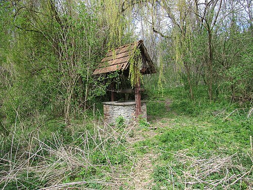 Киселівський дендрологічний парк «Гайдейка»