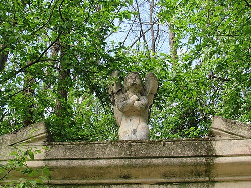 Киселівський дендрологічний парк «Гайдейка» — фото