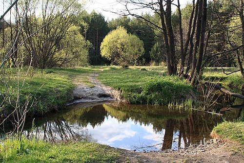 Регіональний ландшафтний парк «Мальованка»