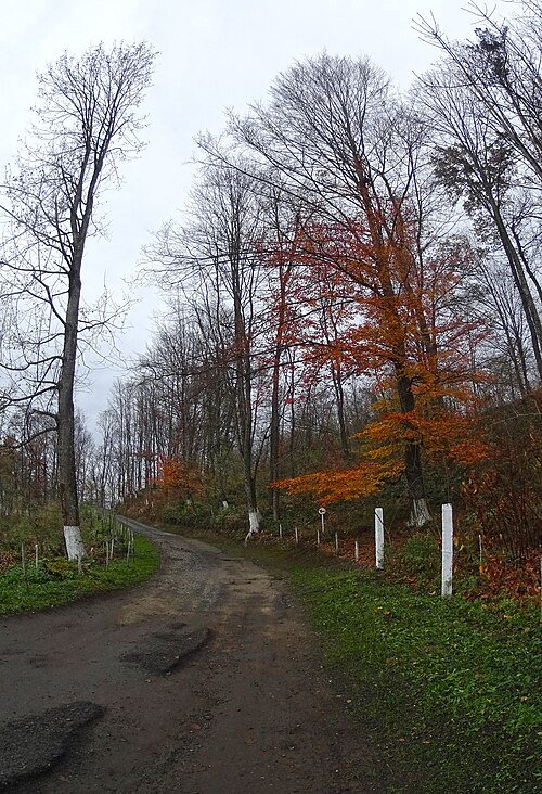 Парк «Чонок»