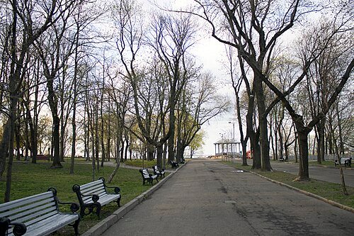 Володимирська гірка — фото