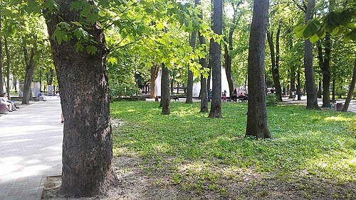 Сквер імені Тараса Шевченка