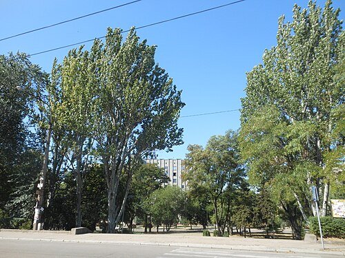 Парк залізничної станції Запоріжжя II — фото
