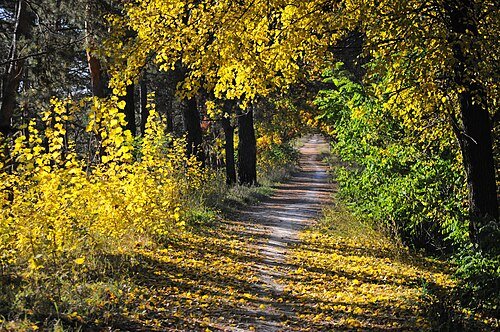 Парк Черкаської обласної лікарні