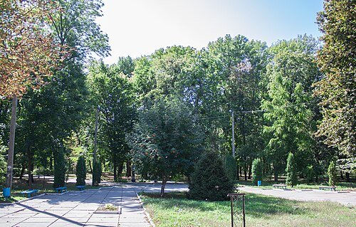 Ставищенський парк — фото