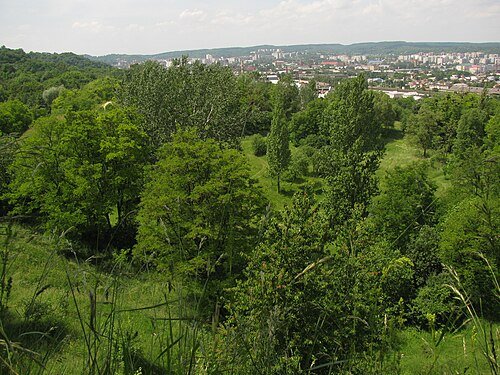 Регіональний ландшафтний парк «Знесіння» — фото