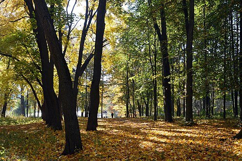 Веретенівський парк