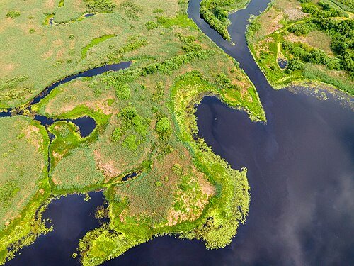 Національний природний парк «Прип'ять-Стохід» — фото